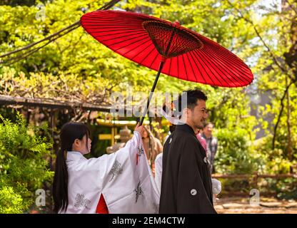 tokio, japan - april 13 2019: Traditionelle Prozession einer japanischen shinto-Hochzeit mit einer jungen Miko-Dirnen, die einen vermillon nodategasa Regenschirm halten Stockfoto