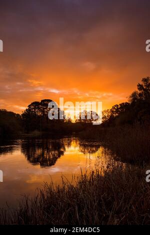 Sonnenaufgang über dem Ornamental Lake am Southampton Common im Winter. Stockfoto