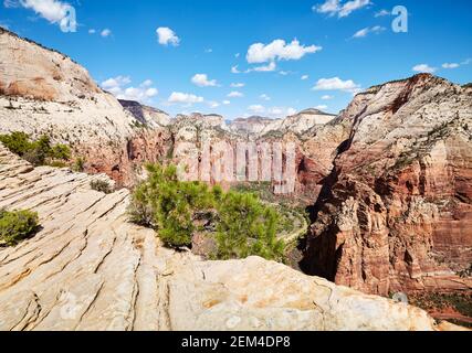 Blick von Angels Landing im Zion National Park, Utah, USA. Stockfoto