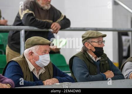 Landwirte, die während der Covid-19 Pandemie an einem Tierverkauf teilnehmen, tragen Gesichtsmasken, um die Ausbreitung des Virus zu verhindern. VEREINIGTES KÖNIGREICH Stockfoto