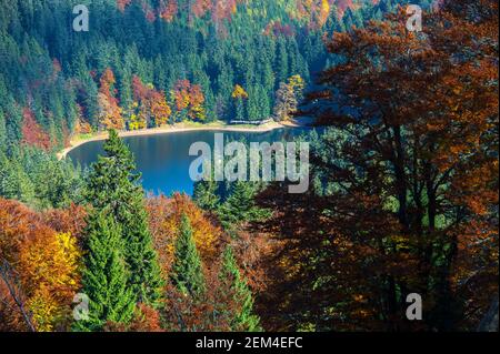 Schöne Herbstlandschaft in den Bergen Karpaty im Wald Stockfoto