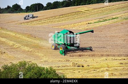 Mähdrescher auf dem Feld entfernt die Weizenernte Stockfoto