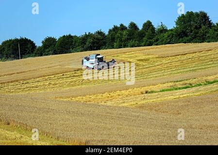 Mähdrescher auf dem Feld entfernt die Weizenernte Stockfoto