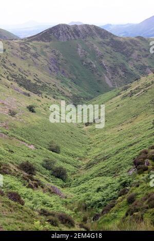 Blick hinunter Townbrook Valley in Richtung Burway Hill, Long Mynd Shropshire, Großbritannien Stockfoto
