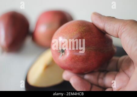 Die Red Bartlett Birne trägt eine echte pyriforme Birnenform. Eine abgerundete Glocke auf der unteren Hälfte der Frucht, dann eine definitive Schulter mit einer kleineren ne Stockfoto