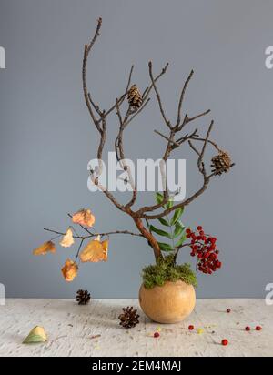 Komposition mit Kiefernzweigen mit Zapfen und einem Vogelzweig mit Beeren in einer runden Holzvase. Stockfoto