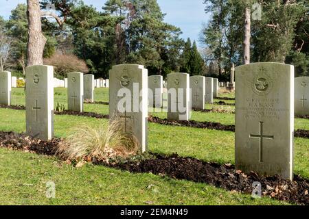 Commonwealth-Kriegsgräber auf dem Brookwood Military Cemetery in Surrey, England, Großbritannien. Die Royal Air Force Sektion. Stockfoto