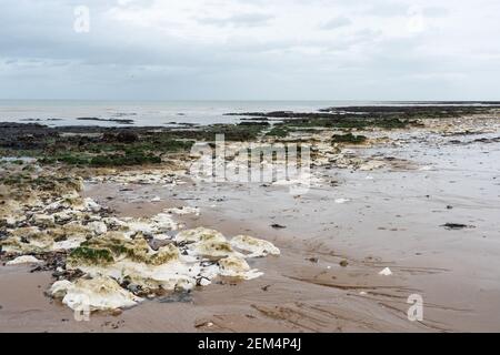 Seascape in margate, Palm Bay in Kent mit Felsenpools und Seegras am Strand die Flut ist aus, schönes Licht Stockfoto