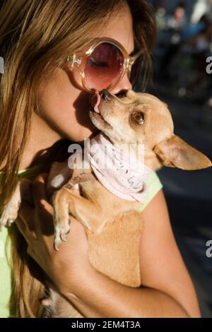 Nahaufnahme einer mittleren erwachsenen Frau, die einen Chihuahua trägt Stockfoto