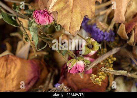 Getrocknete Rosen blühen mit getrockneten Blättern Stockfoto