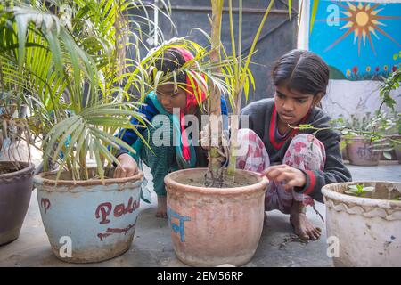 Rajasthan. Indien. 07-02-2018. Zwei Kinder spielen mit den Pflanzen, die in der Schule wachsen. Stockfoto