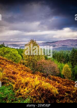 Loch Loyne in der Highland Region von Schottland Stockfoto