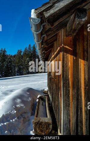 Hütte am Waldrand im frisch verschneiten Bregenzerwald. Die Sonne scheint durch die Tannen und wirft ihre Strahlen auf den Schnee. Österreich Stockfoto