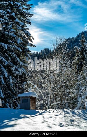 Hütte am Waldrand im frisch verschneiten Bregenzerwald. Die Sonne scheint durch die Tannen und wirft ihre Strahlen auf den Schnee. Österreich Stockfoto