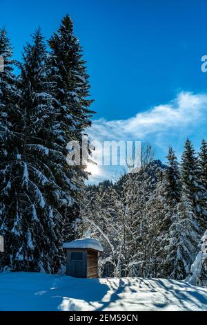 Hütte am Waldrand im frisch verschneiten Bregenzerwald. Die Sonne scheint durch die Tannen und wirft ihre Strahlen auf den Schnee. Österreich Stockfoto