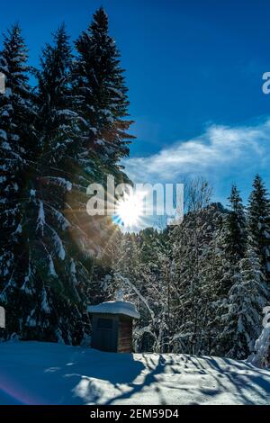 Hütte am Waldrand im frisch verschneiten Bregenzerwald. Die Sonne scheint durch die Tannen und wirft ihre Strahlen auf den Schnee. Österreich Stockfoto