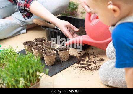 Home Hobbys Gartenarbeit mit Kindern und Botanik lernen. Kleiner Junge gießt Wasser mit Gießkanne zu Samen und zu verwöhnen. Aktivitäten im Frühling Stockfoto