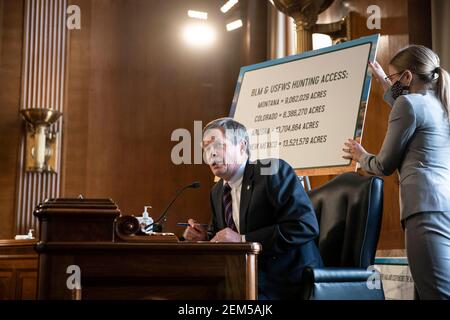 Washington, USA. Februar 2021, 24th. Senator Steve Daines, ein Republikaner aus Montana, spricht während einer Anhörung des Energie- und Rohstoffausschusses des Senats zur Bestätigung des Vertreters deb Haaland, eines Demokraten aus New Mexico und Sekretär des Innenministers für den US-Präsidenten Joe Biden, am Mittwoch in Washington, DC, USA, Februar 24 2021. Haaland hat gestern in einer hitzigen Anhörung ihre bisherige Opposition gegen Fracking heruntergespielt, als sie die Senatoren beruhigen wollte, die besorgt waren, dass sie die Entwicklung fossiler Brennstoffe einklemmen würde. (Foto von Sarah Silbiger/Pool/Sipa USA) Quelle: SIPA USA/Alamy Live News Stockfoto