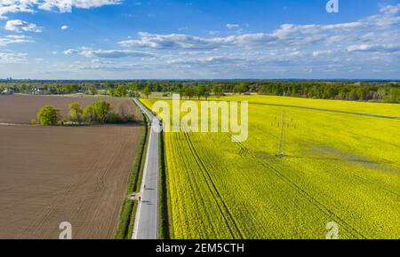 Luftdrohne Blick auf lange Straße zwischen gelben Feldern Colza an bewölktem, sonnigem Tag Stockfoto