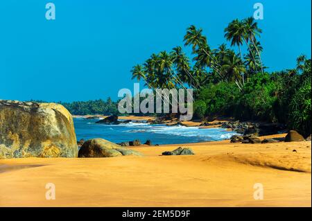 Ozeanküste von Sri Lanka in den Tropen Stockfoto