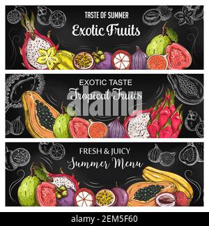 Tropische Früchte Skizze Vektor Banner. Handgezeichnete exotische Früchte horizontale Kreide Tafel pitahaya Drachenfrucht und Karambola, Mangostan und Feige, g Stock Vektor