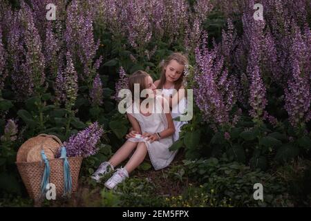 Zwei Schwestern sitzen auf grünem Gras in einem blühenden lila Salbei Feld. Kleine Mädchen umarmen, weben einander Zöpfe. Erholung im Freien außerhalb der Stadt. Stra Stockfoto