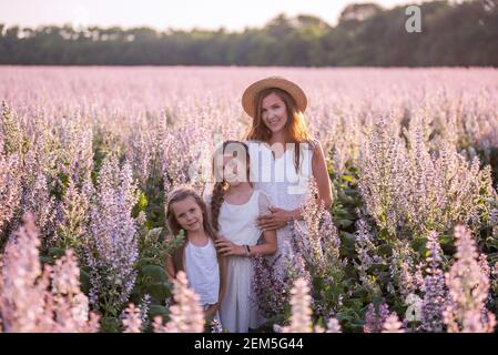 Die junge Mutter umarmt ihre beiden Töchter inmitten eines lila blühenden Salbeifeldes. In weiß gekleidet mit Strohhüten. Frau liebevoll umarmt Mädchen, Striche, Kuss Stockfoto