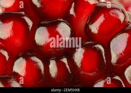 Rote Granatapfel Frucht extreme Nahaufnahme Detail Hintergrund Stockfoto