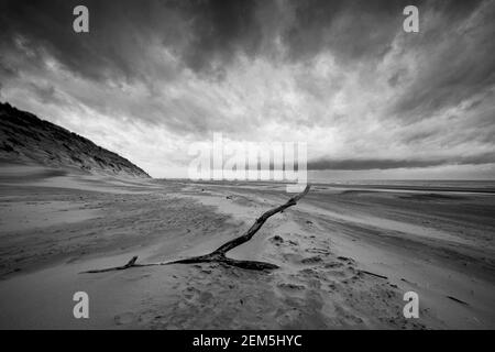 Ein einsamer Zweig liegt in einem sandigen einsamen Strand Stockfoto