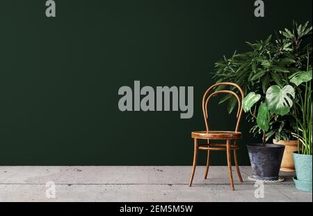 Inneneinrichtung mit Topfpflanzen und altem Holzstuhl vor dunkelgrünem Wandhintergrund 3D Rendering, 3D Illustration Stockfoto