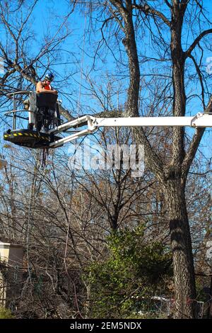 Arbeiter auf dem Kran, der den Baum in Tulsa herunterschaut Oklahoma USA 3 6 2018 Stockfoto