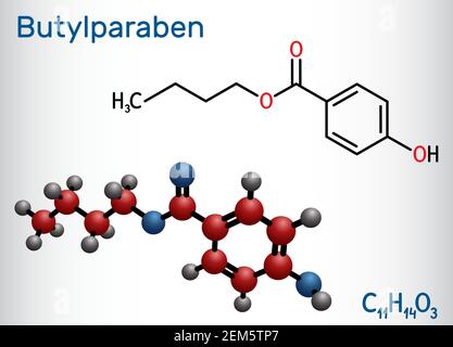 Butylparaben, Butyl-p-Hydroxybenzoat, Butyl-Paraben-Molekül. Es ist Paraben, antimikrobielles Konservierungsmittel in Kosmetika. Strukturelle chemische Formel, Mo Stock Vektor