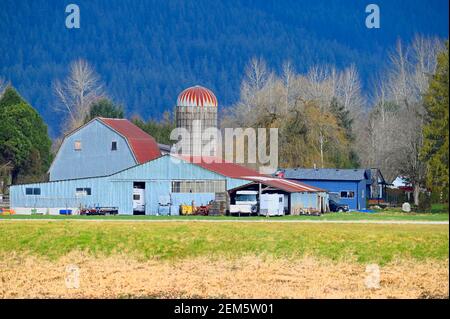 Eine blaue Scheune mit rotem Dach und Silo an einem baumbedeckten Berghang auf einer Farm im ländlichen British Columbia, Kanada. Stockfoto