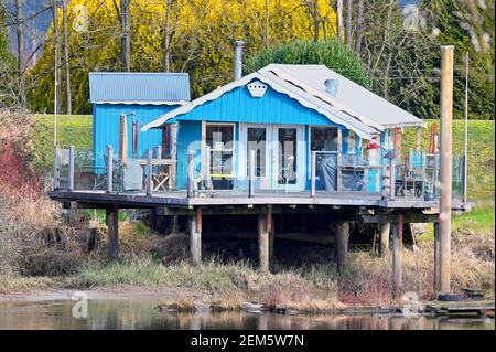 Ein blaues Haus auf Stelzen am Ufer des Pitt River, Pitt Meadows, B. C., Kanada. Stockfoto