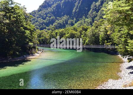 Milford Track Abschnitt entlang des Clinton River, Neuseeland Stockfoto