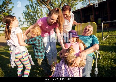 Stolze Großeltern sitzen und spielen auf einem Feld mit ihren schönen und entzückenden Enkelkindern und ihrer Katze. Stockfoto