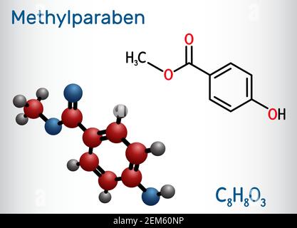 Methylparaben, Methylparaben, Methyl 4-Hydroxybenzoat-Molekül. Es ist Paraben, antimikrobielles Konservierungsmittel in Kosmetika, E218. Strukturchemikalie Stock Vektor