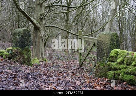 Gritstone Torpfosten und Holztor in der Nähe von Stanton Moor in Derbyshire Stockfoto