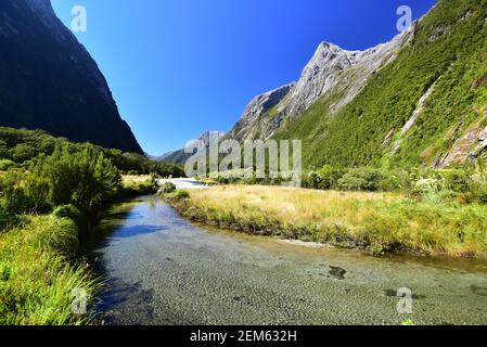 Milford Track Abschnitt entlang des Clinton River, Neuseeland Stockfoto