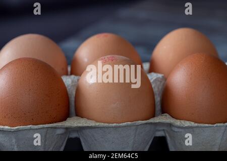 Sechs Freilandeier in einem Karton. Stockfoto