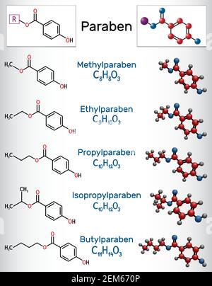 Parabene-Molekül. Methylparaben, Ethylparaben, Propylparaben, isopropylparaben, Butylparaben. Es ist antimikrobiell, antimykotisch Konservierungsmittel Stock Vektor