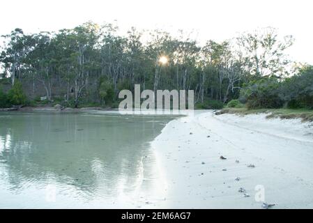 Sandy Shore Line Pambula River Ben Boyd National Park südöstlich von New South Wales. Stockfoto