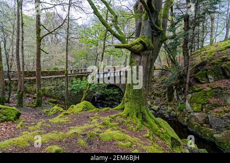 County Wicklow, Irland. 7th Mai 2016. Einbogenige Cloghleagh Road Bridge über den Shankill River, erbaut um 1820 im Wicklow Mountains Nationalpark Stockfoto