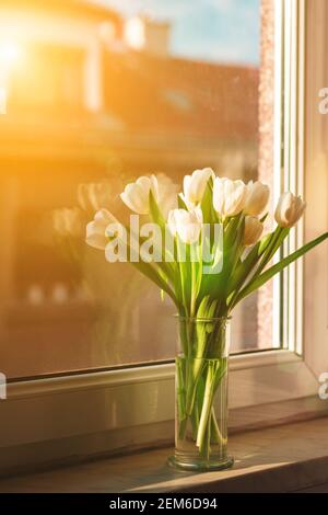 Bouquet von weißen Tulpen in Glasvase im Sonnenlicht auf Fensterbank. Konzept für Frühlingsferien. Stockfoto