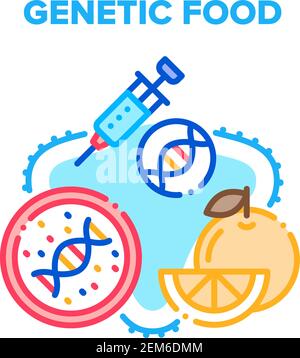Genetische Nahrung Vektor Konzept Farbe Illustration Stock Vektor
