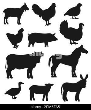 Rinder Bauernhof Tiere und Vögel, Vektor schwarze Silhouette Symbole. Rinderfarm Kuh, isolierte Schafe und Wachteln Vogel, Ziege und truthahn, Hühnerstall und Goo Stock Vektor