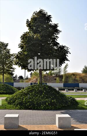 Cuatro Torres Financial District Stockfoto