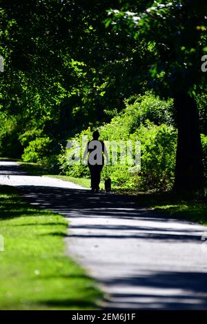 Eine Frau geht mit ihrem kleinen Hund auf einem gepflasterten Weg durch den Wald. Stockfoto