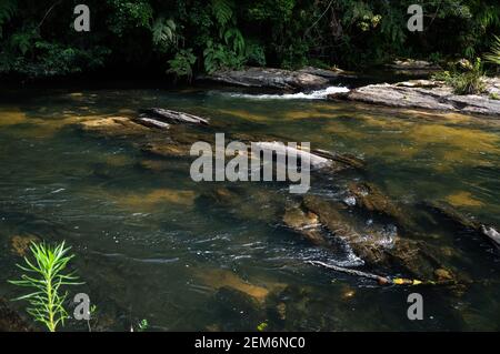 Der wunderschöne Paraibuna Fluss und sein kristallklares Wasser, das zwischen und über den Felsformationen im dichten Serra do Mar (Sea Ridge) Wald fließt. Stockfoto