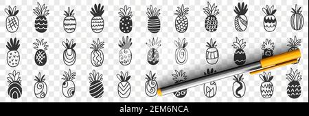 Tropische Ananasfrüchte Doodle Set. Sammlung von Hand gezeichnet frisch reifen exotischen Pommes frites Ananas lecker lecker süß für eine Diät sauber essen Gewichtsverlust Lebensmittel isoliert auf transparentem Hintergrund Stock Vektor